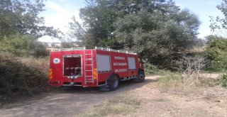 Tarlada Yakılan Ateş İtfaiyeyi Harekete Geçirdi