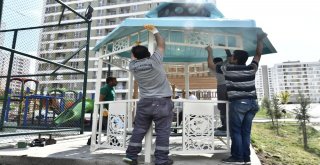 Kamelyalar Mamakın Dört Bir Yanında