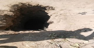 Manisada 3 Defineci Suçüstü Yakalandı