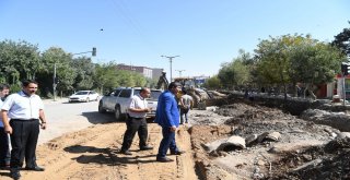 Başkan Asya, Çalışma Alanlarında İncelemelerde Bulundu