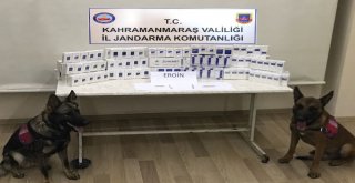 Jandarmadan Huzur Operasyonu: 12 Şahıs Yakalandı