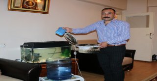 Sıcaktan Bunaldı, Damacanadan Klima Yaptı