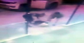 Pitbull Vahşeti Güvenlik Kamerasında