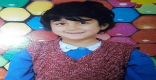 Küçük Sedanuru Bulan Ekiplerden Yürekleri Dağlayan Sözler