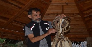 Doğada Görevini Tamamlayan Ağaçlarla Sanat Yapıyor