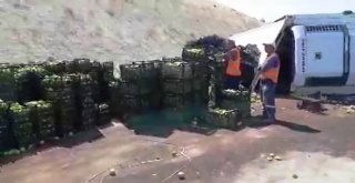 Elma Yüklü Tır Devrildi