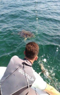 Caretta Carettayı Sahil Güvenlik Kurtardı