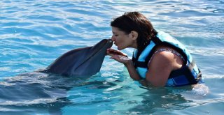 Nikki Haley: “Her Gün Köpekbalıklarıyla Uğraşıyorum”