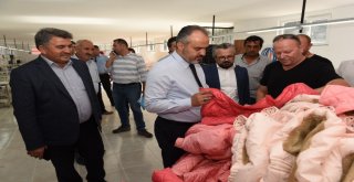 Kırsaldaki Girişimciye Büyükşehir Desteği