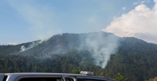 Kahramanmaraşta Orman Yangını