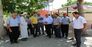 Başkan Tollu, Çalışmaları Yerinde İnceledi