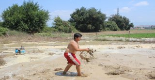 Patlayan İçme Suyu Hattı Koyunların Bulunduğu Ağılı Sular Altında Bıraktı