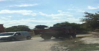 Korkusuz Vatandaş Yürekleri Ağza Getirdi