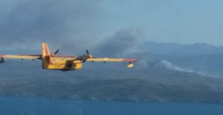 Kaza Yapan Araç 20 Hektar Ormanı Kül Etti