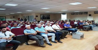 Pamuk Sökede Masaya Yatırıldı