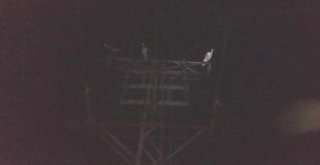 Leylek Göçü 10 Köyü Elektriksiz Bıraktı