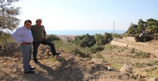 Vizyon Projeler Hızla Devam Ediyor