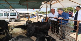 Başkan Böcek; “Kurban Bayramı Hazırlıklarımız Tamam”