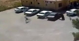 Şanlıurfadaki Kan Davası Cinayeti Kamerada