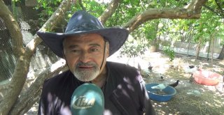 Hayatı Kuşlarla Geçiyor