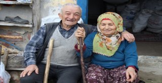 Orduda Yaşlılar Sağlıklı Yaşlanıyor