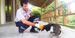 Hasta Balıkçıl Kuşuna İtfaiye Sahip Çıktı