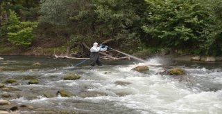 Dere Yataklarında İlaçlama Çalışmaları Devam Ediyor