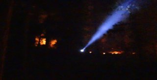 Tavşanlıdaki Orman Yangını Kısmen Kontrol Altına Alındı