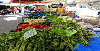 Taşeronun Kazandığı Fahiş Fiyatlara Üretici Darbesi