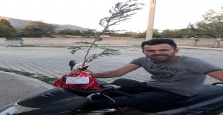 Düğünlerine Fidanlı Davetiye Gönderdiler