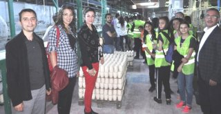 Öğrencilere Meslek Tanıtımı