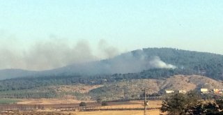 Kahramanmaraşta Orman Yangını