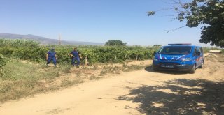 Jandarmadan Hayvan Hırsızlığı Uyarısı