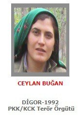 300 Bin Tl Ödülle Aranan Kadın Terörist Öldürüldü