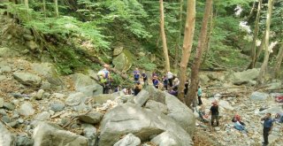 Uludağda Yaşanan Can Pazarı Kameralara Böyle Yansıdı