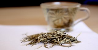 Kralların Çayına Araplardan Yoğun Talep