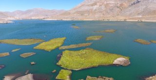 Bu Adacıklar Yerinde Durmuyor