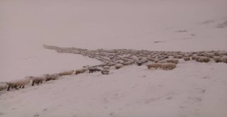 Yaylalardan Göçe Kar Engeli