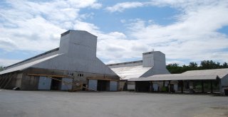 Malkara Tmoya 12 Bin 500 Ton Buğday Getirildi