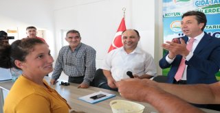 Genç Çiftçilere 3 Yılda 12 Milyonluk Destek