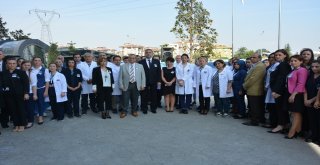Hayatını Kaybeden Doktor Hacıosman Saygıyla Anıldı