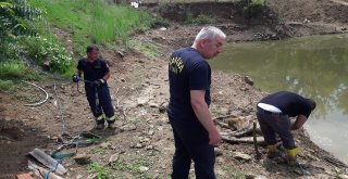 Gölette İnek Kurtarma Operasyonu