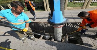 Askiden Kurban Atıkları Uyarısı