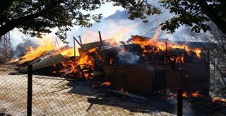 Gümüşhanede Yangın