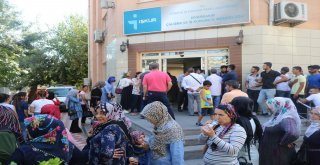 İş-Kurda İş İzdihamı