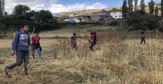 Sedanurdan 3 Gündür Haber Yok