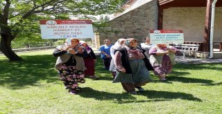 Kargıda Kadınlar Sağlıklı Yaşam İçin Yürüdü