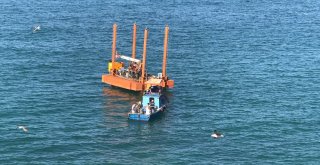 Batı Karadeniz Mahmuz Çalışması Başladı