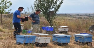 Tekirdağ Büyükşehir Belediyesinin Arıcılığa Desteği Sürüyor