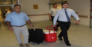 Minik Turanın Organları Üç Kişiye Umut Oldu